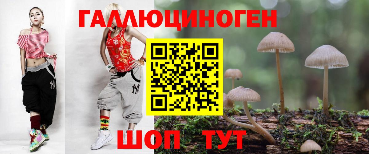 Ивантеевка  Галлюциногенные грибы Psilocybine cubensis  Галлюциногенные грибы Psilocybine cubensis  Вход с VPN 